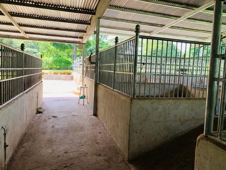 ll1900234_img-4_large-min