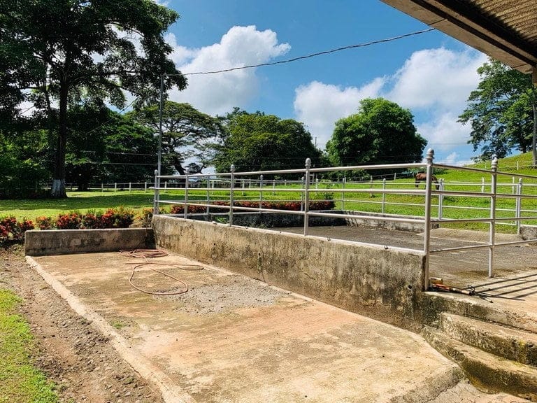 ll1900234_img-5_large-min