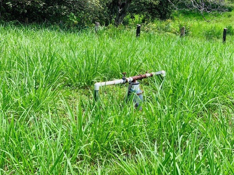 ll1900234_img-6_large-min