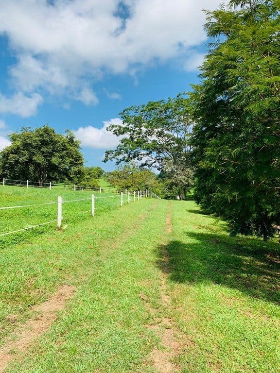 ll1900234_img-9_large-min