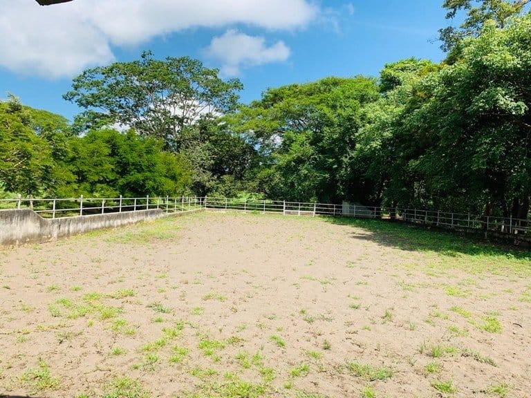 ll1900234_img_large-min