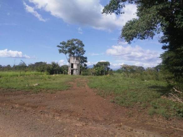 ll1900258_img-9_large-min