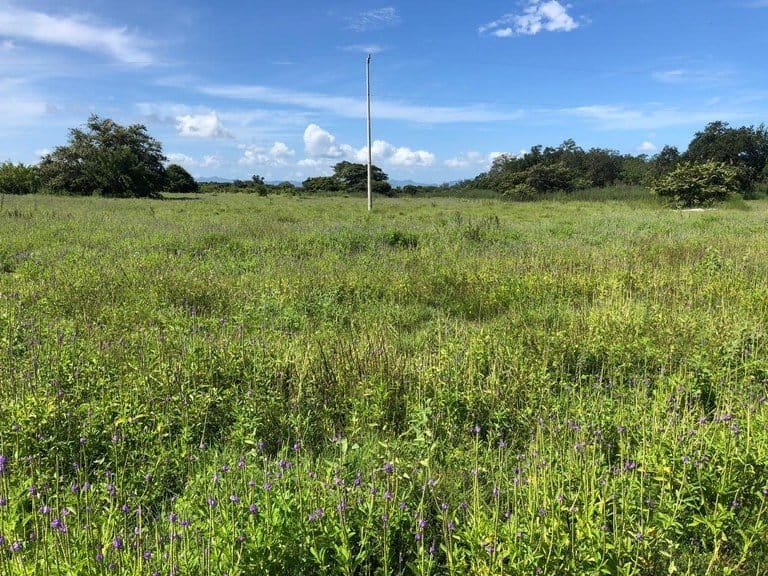 ll1900285_img-10_large-min