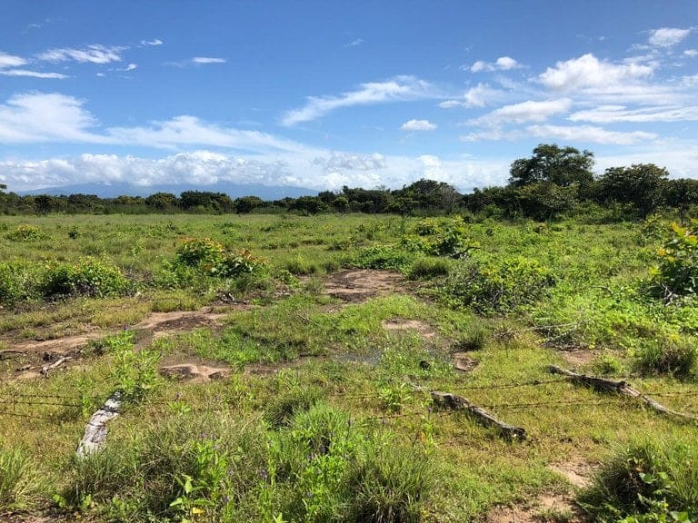 ll1900285_img-11_large-min