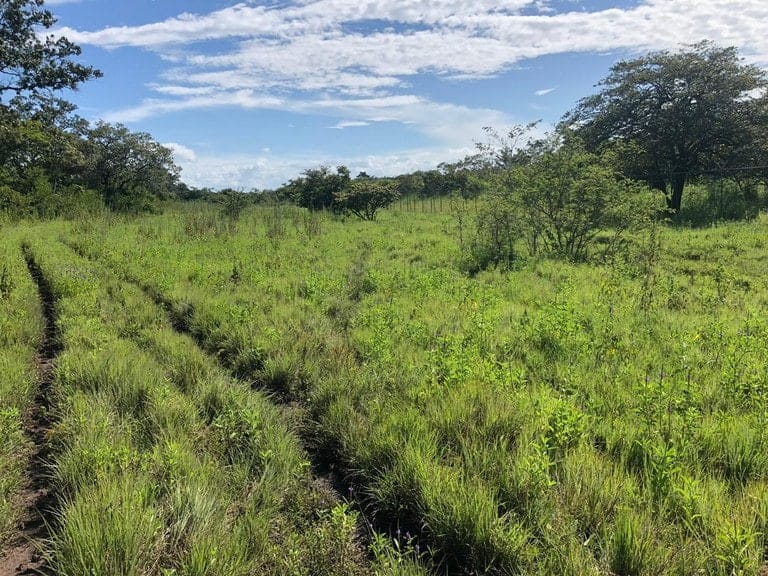 ll1900285_img-13_large-min