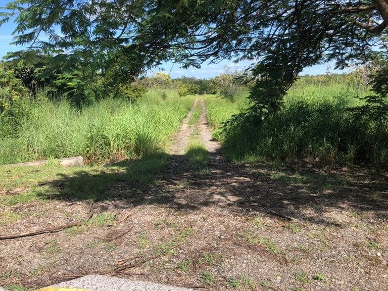 ll1900285_img-15_large-min