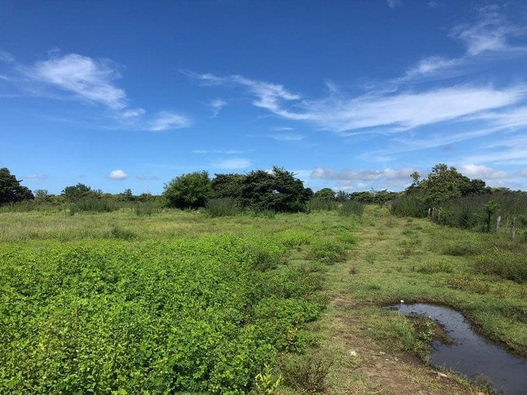 ll1900285_img-16_large-min