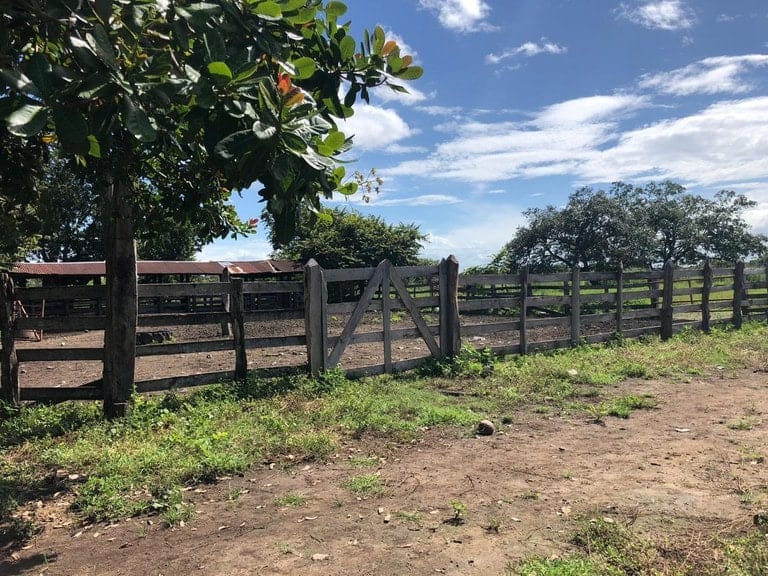 ll1900285_img-18_large-min