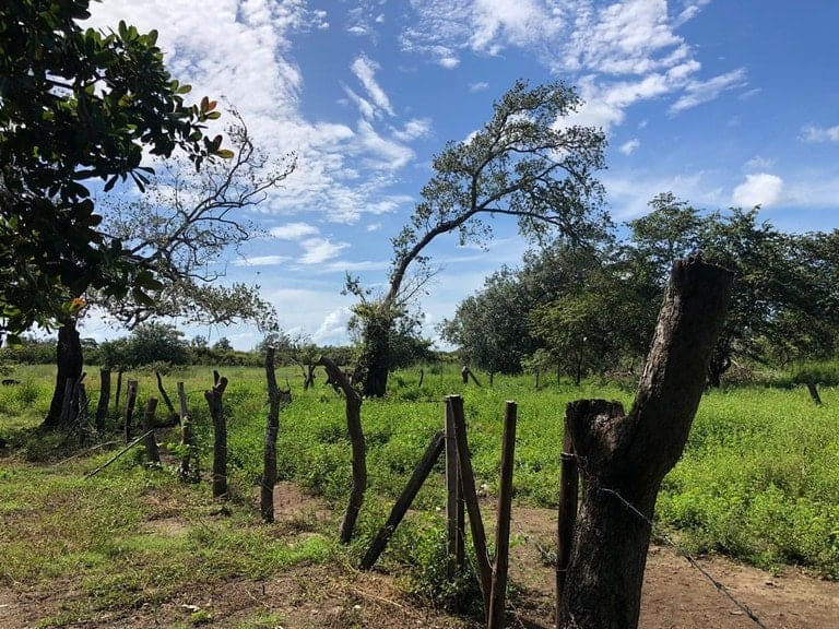 ll1900285_img-19_large-min