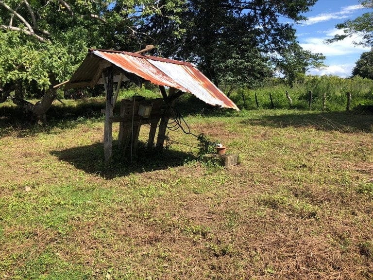 ll1900285_img-20_large-min