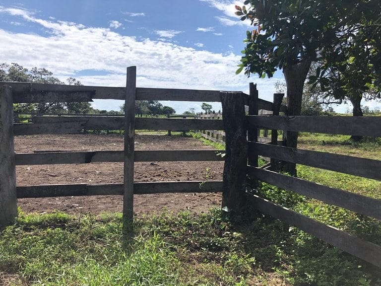 ll1900285_img-22_large-min