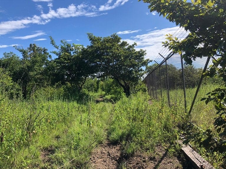 ll1900285_img-23_large-min