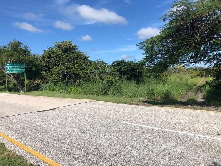 ll1900285_img-24_large-min