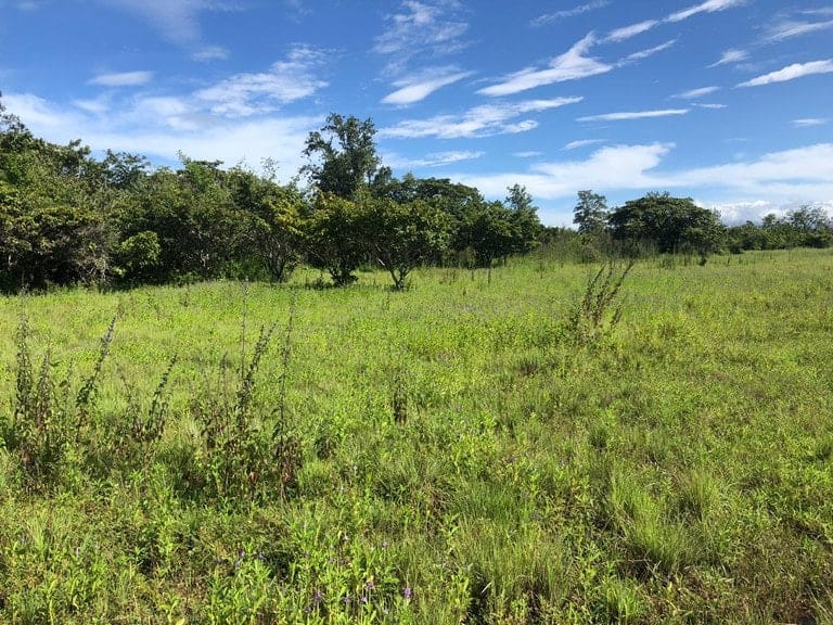 ll1900285_img-5_large-min