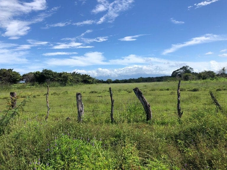 ll1900285_img-7_large-min