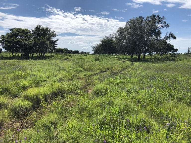 ll1900285_img-8_large-min