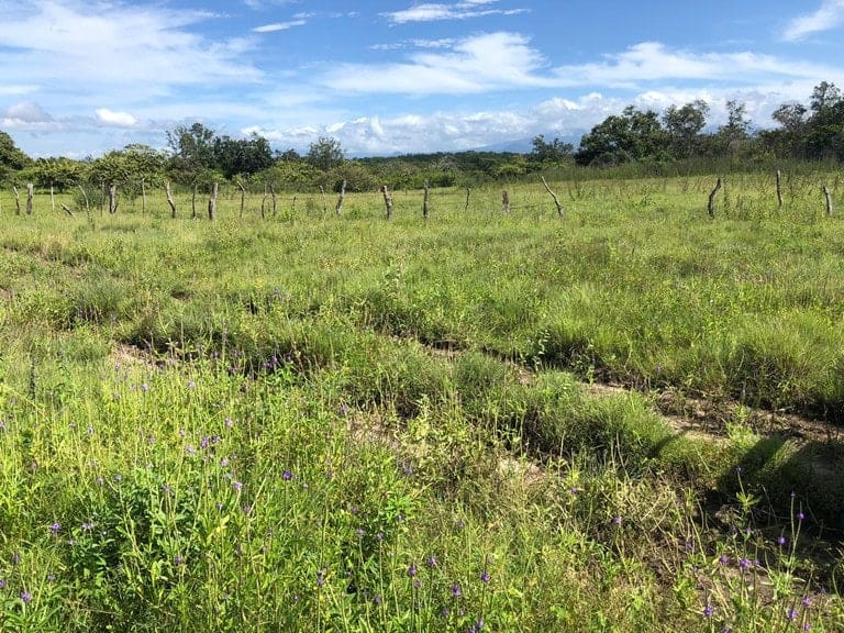 ll1900285_img-9_large-min