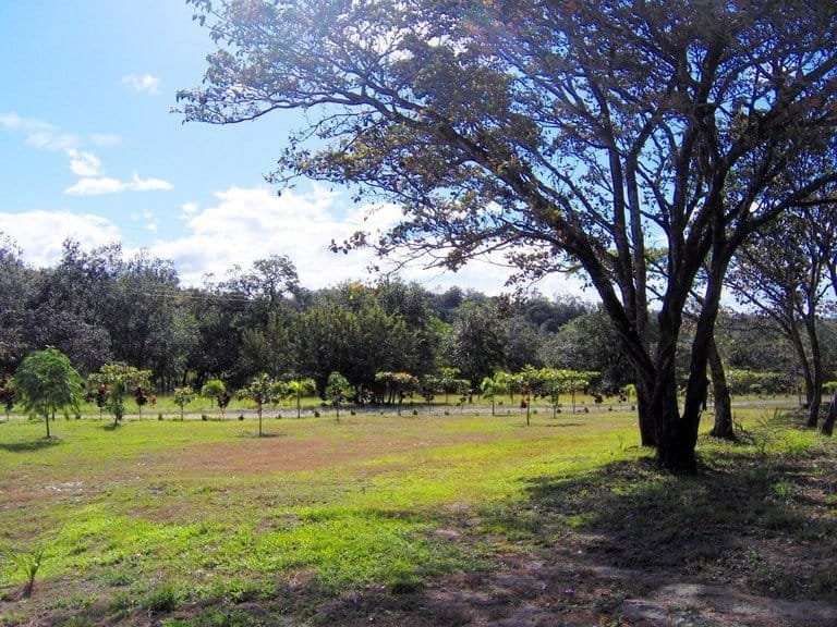 ll1900287_img-11_large-min