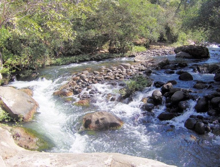 ll1900287_img-16_large-min