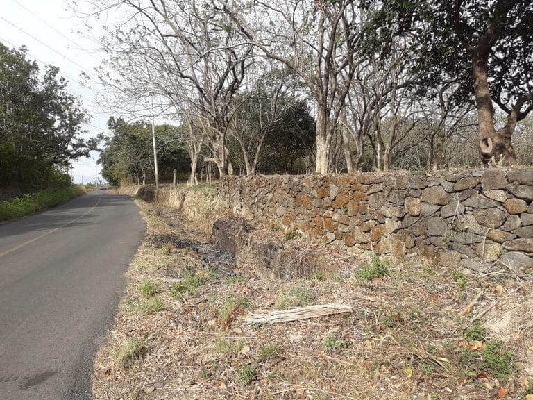 ll1900287_img-4_large-min