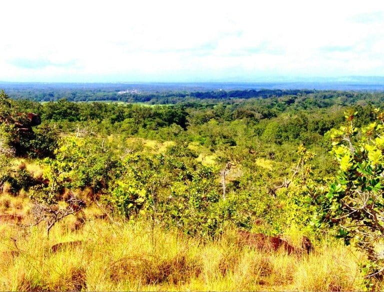 ll1900287_img-6_large-min