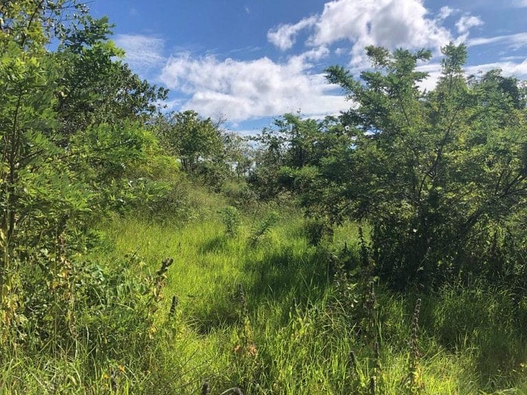 ll1900301_img-15_large-min