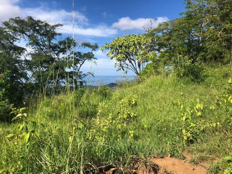 ll1900301_img-16_large-min