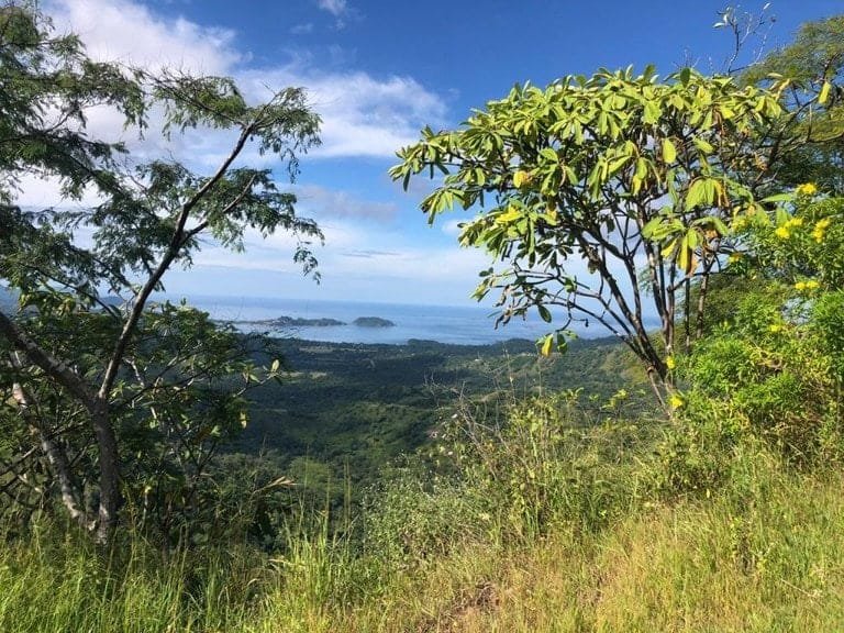 ll1900301_img-3_large-min