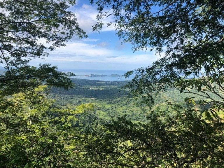 ll1900301_img-4_large-min