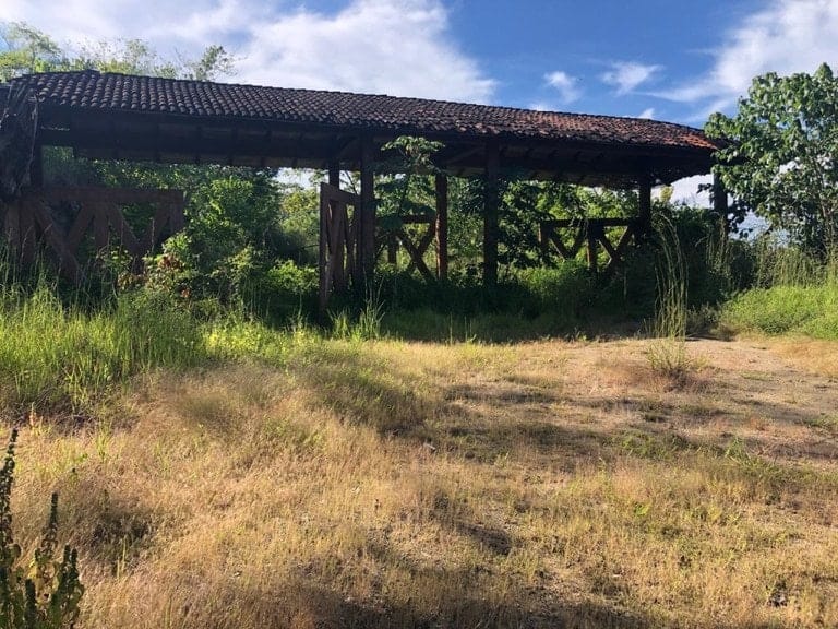 ll1900301_img-5_large-min