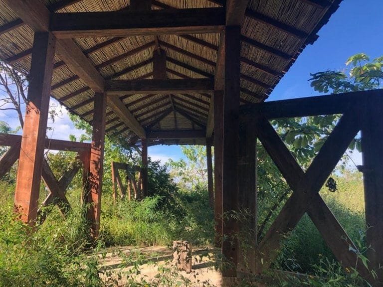 ll1900301_img-6_large-min