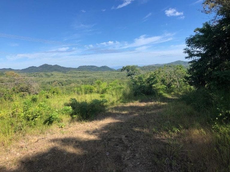 ll1900301_img-7_large-min