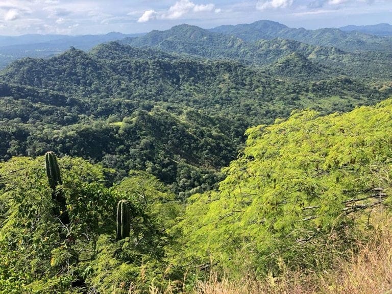 ll1900301_img-8_large-min