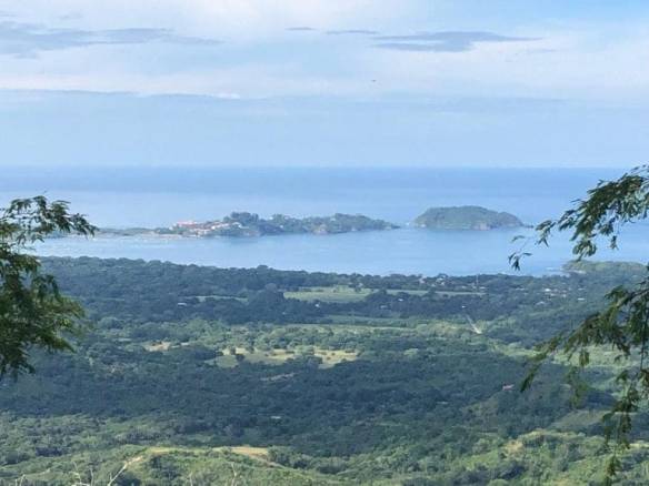 ll1900301_img_large-min