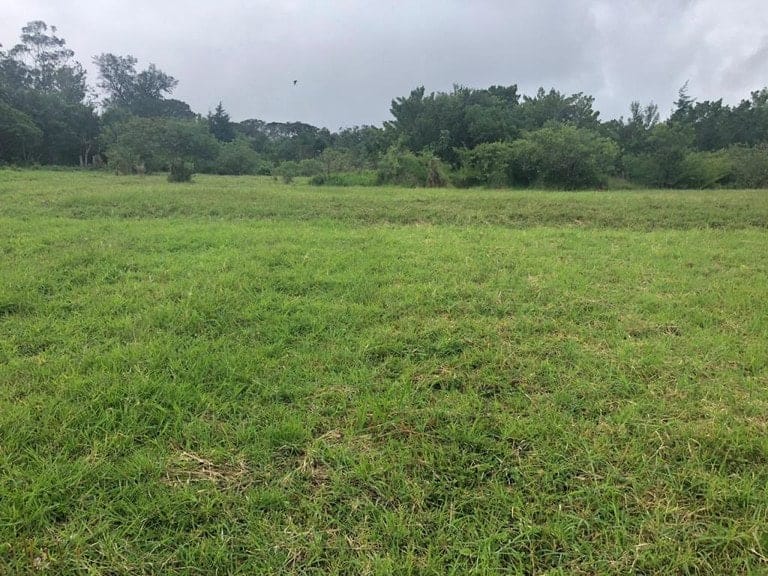 ll2000011_img-13_large-min