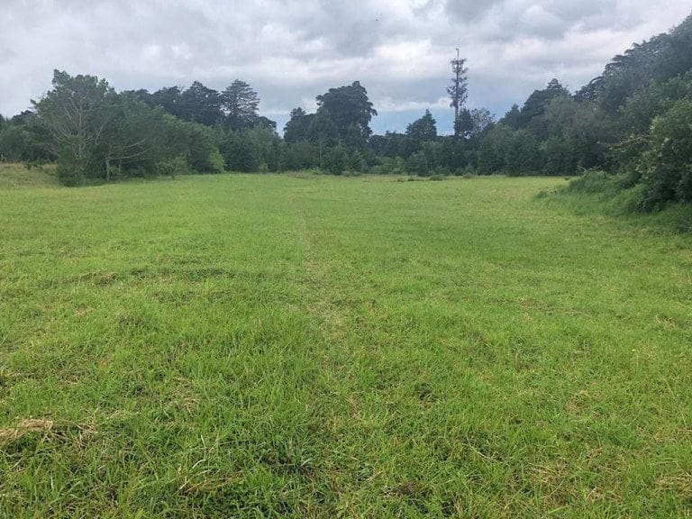 ll2000011_img-14_large-min