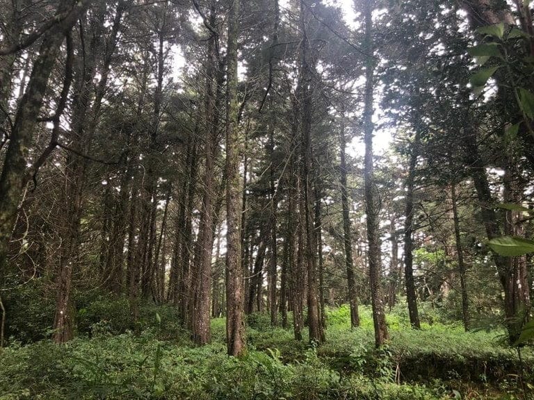 ll2000011_img-19_large-min