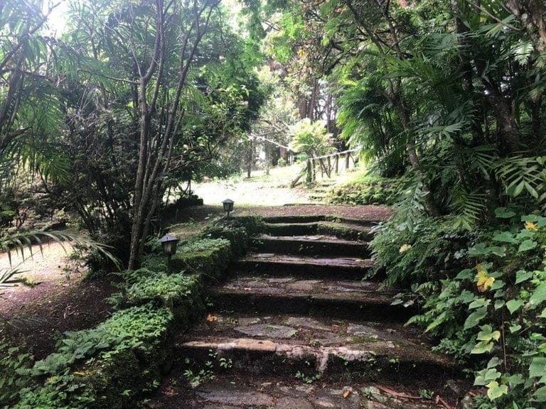 ll2000011_img-21_large-min