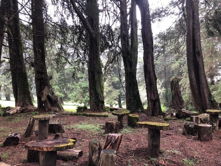 ll2000011_img-23_large-min