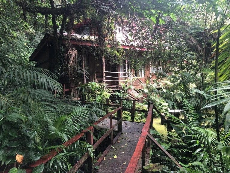 ll2000011_img-24_large-min