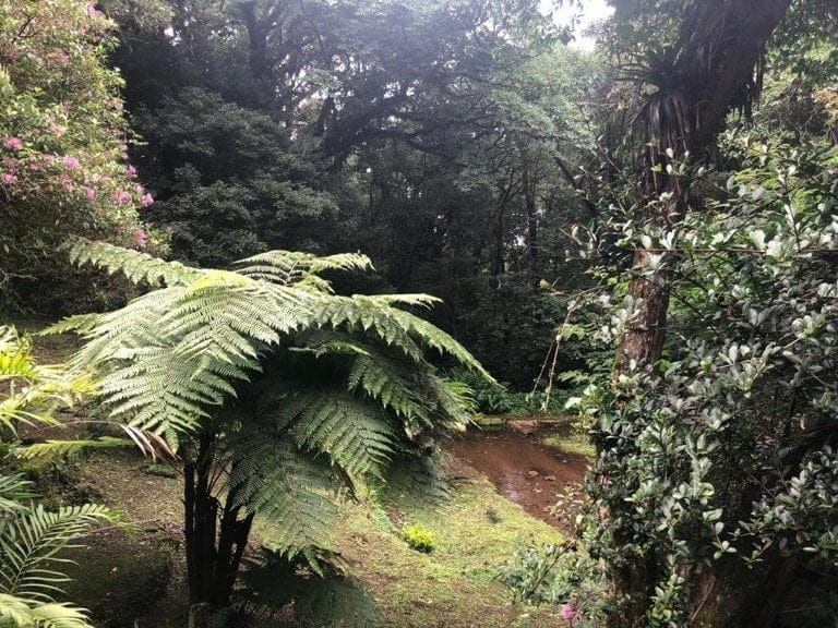 ll2000011_img-36_large-min