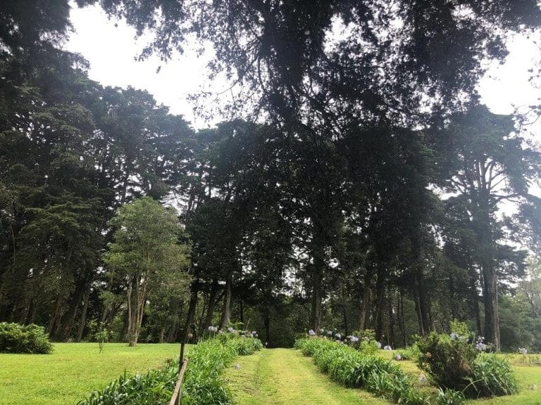 ll2000011_img-37_large-min