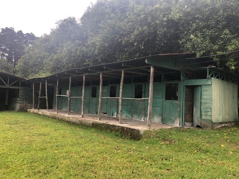 ll2000011_img-7_large-min