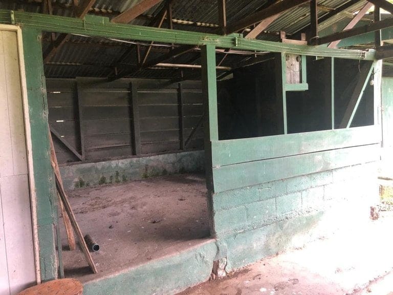 ll2000011_img-9_large-min