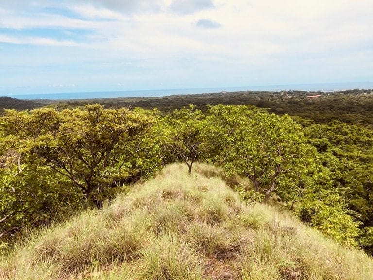 ll2100193_img-10_large-min