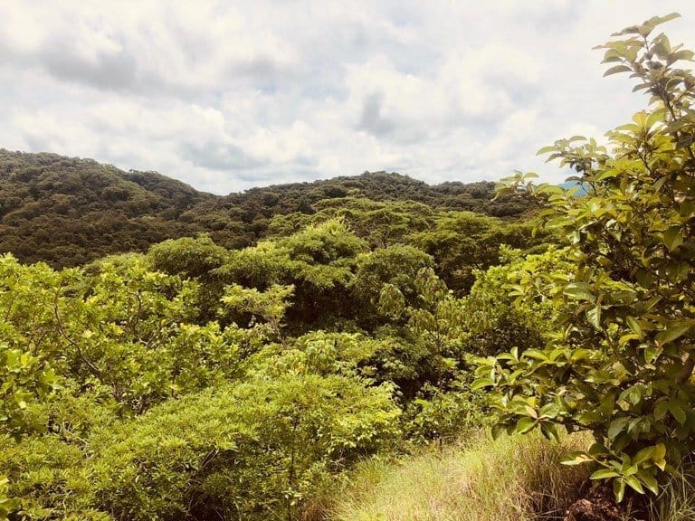 ll2100193_img-13_large-min