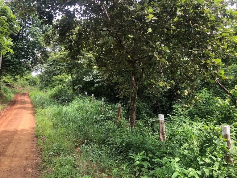 ll2100193_img-14_large-min