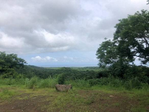 ll2100193_img-5_large-min