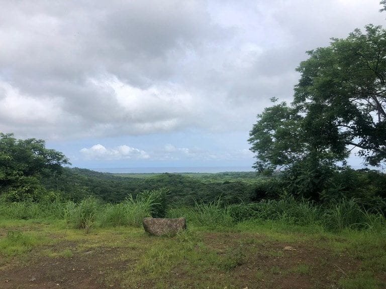 ll2100193_img-5_large-min