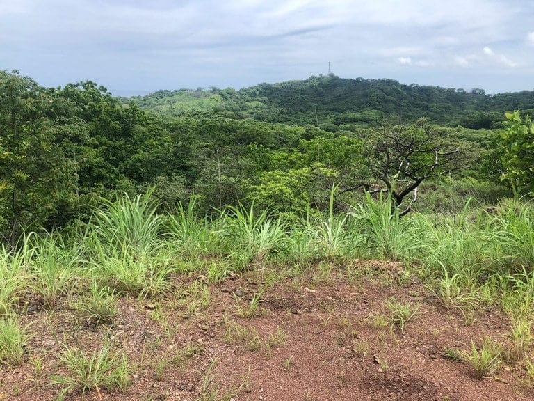 ll2100193_img-7_large-min